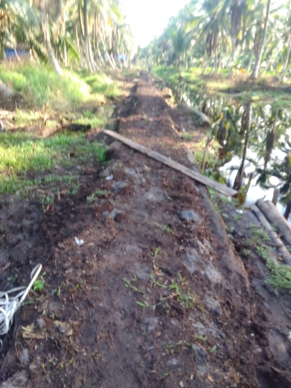 IMG-20250615-WA0055